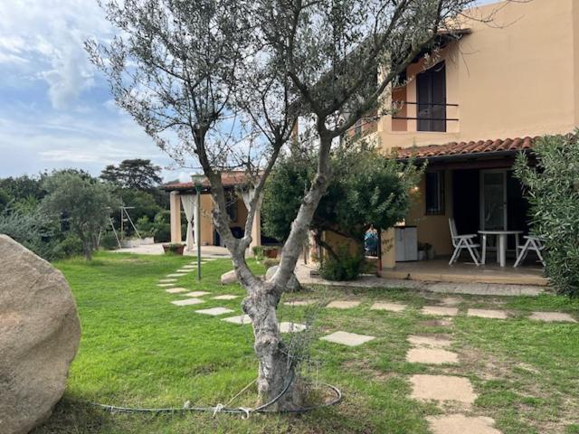 Le Palmette Villa Monte Nai Eksteriør bilde